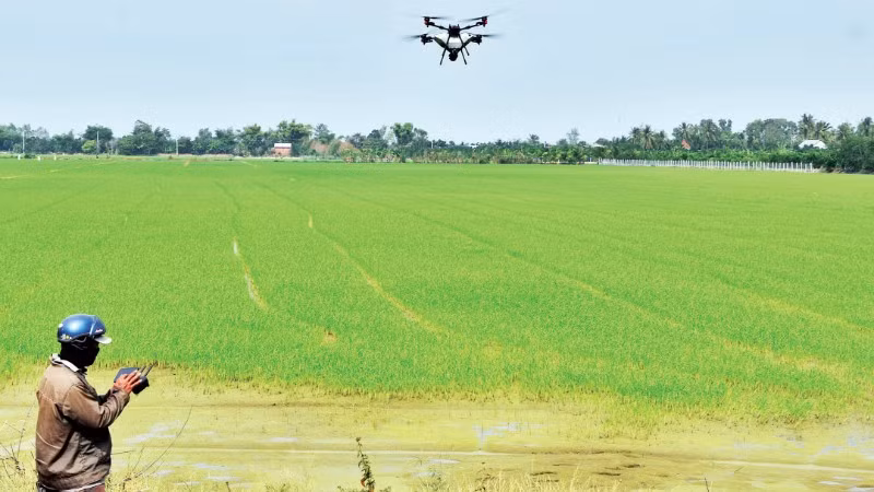 drone-rice.png