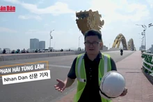 다낭시에서 용을 돌보는 사람들을 따라간다