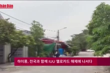 하이퐁도 불법조업 옐로카드 해제에 동참