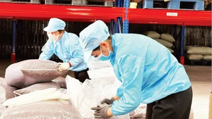 Simexco DakLak에서 스페셜티 커피 껍질(카스카라 차) 수출을 위해 포장하는 모습. (사진: 민 안)