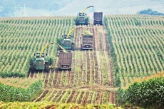 TH 그룹은 첨단 농업과 순환 경제 분야에서 지속 가능한 투자의 모범 사례로 꼽힌다.