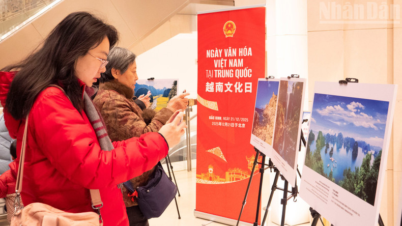 베트남의 유명 명소를 사진에 담고 있는 관람객들.