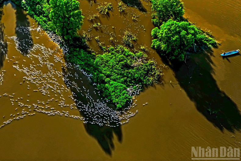 물에 잠긴 지역에 드리운 저녁 그림자.