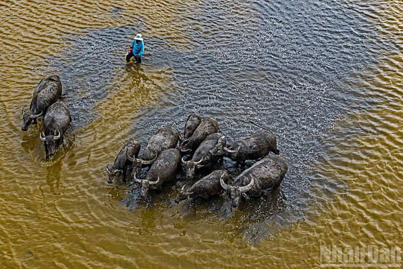 비옥한 토양과 생명의 기운.