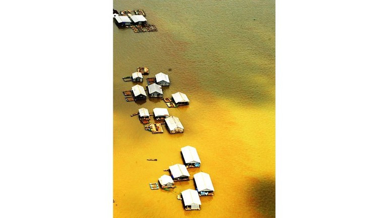 띠엔강(Tien River) 위의 어류 양식 뗏목.