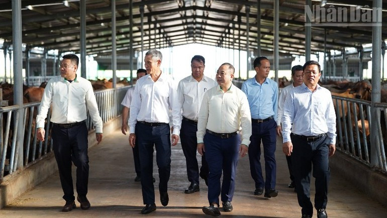 캄보디아 주재 베트남 대사관 대표단이 라타나키리(Rattanakiri)에서 진행 중인 타코그룹 프로젝트를 방문하고 있다. 이 프로젝트는 현지 당국의 환영과 높은 평가를 받고 있다. (사진: DINH TRUONG)