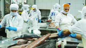 수산물은 미주 전역 시장에서 강한 수출 성장세를 보이고 있는 대표적인 분야 중 하나다. (사진: 남안)