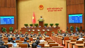 11일 국회 회의. (사진: NDO)