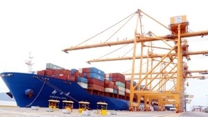 200만 번째 TEU를 실은 선박이 하이퐁항에 도착했다. (사진: VNA)