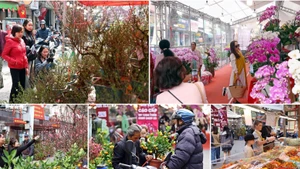 항루억 시장: 하노이 구시가지에서 이어지는 변치 않는 설날 전통 (사진: 베트남 픽토리얼)