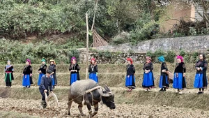 팟웅(Pat Oong) 의식은 조상들에게 새로운 농사철에 들어갈 수 있도록 허락을 구하고, 좋은 날씨와 풍성한 수확을 기원하는 데 목적이 있다.