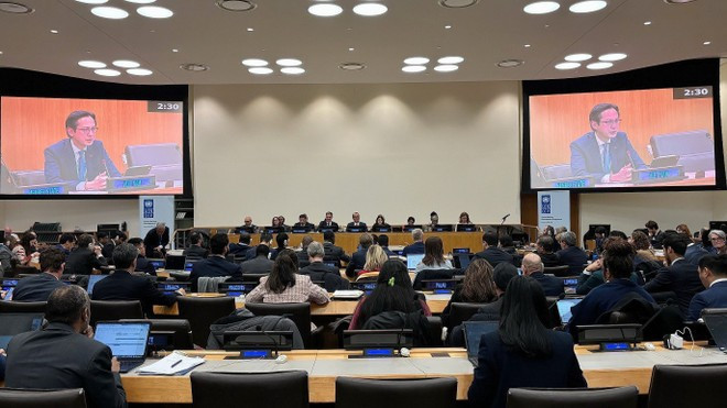 4일 열린 유엔 회원국과 알렉산더 드 크루 UNDP 사무총장 간의 대화. (사진: VNA)