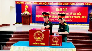 토쩌우 특별구에 주둔 중인 장병들이 사전 투표에 참여하고 있다.