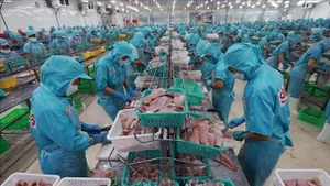  수출용 수산물을 가공하는 노동자들. (사진: VNA)