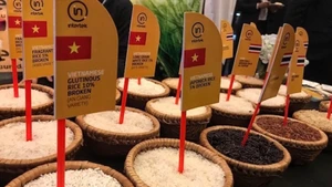 베트남 고품질 쌀, 친환경·지속가능 생산에 경쟁력 강화