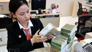 은행들, 기업 동반 및 지원 위한 다양한 신용 솔루션 출시 (사진: VNA)