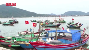 [영상] 바쁜 조업에도 선거일 잊지 않는 어민들