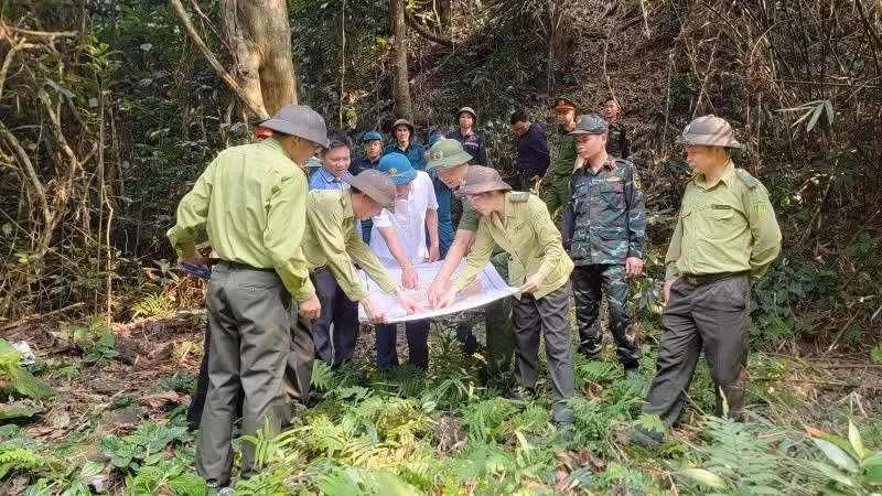 뚜옌꽝성 제1구역 산림보호단은 관련 기관 및 지역 주민들과 협력하여 산림 순찰 및 보호 활동을 실시하고 있다.