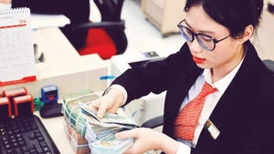 베트남의 외환시장은 환율의 단기 변동에도 불구하고 여전히 통제되고 있다.