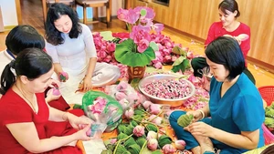 새해를 맞아 생산을 확대하는 흐엉투이 연꽃차 협동조합, 