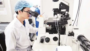 호찌민시 베트남국립대학교에서 진행되는 과학 연구 활동.