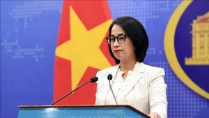 팜 투 항 외교부 대변인이 19일 기자들의 질문에 답하고 있다(사진: VNA)