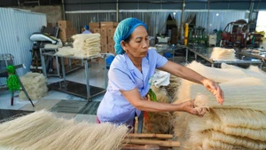 푸토성의 흥로 쌀국수 협동조합이 연말 주문을 맞아 분주하게 움직이고 있다.