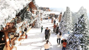 달랏에서 크리스마스 분위기를 즐기는 사람들. (사진: baodautu.vn)