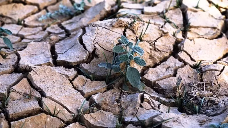 물 위기는 그 규모와 심각성 모두에서 지속적으로 심화되고 있다. (사진: 신화통신)