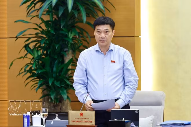 부홍탄 국회 부의장이 회의에서 발언하고 있다. (사진: VNA)