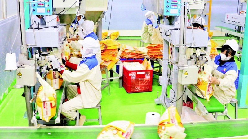 안장성성에 위치한 타오선 1인 유한책임식품회사 공장에서 수출용 쌀을 포장하고 있다. (사진: VNA)