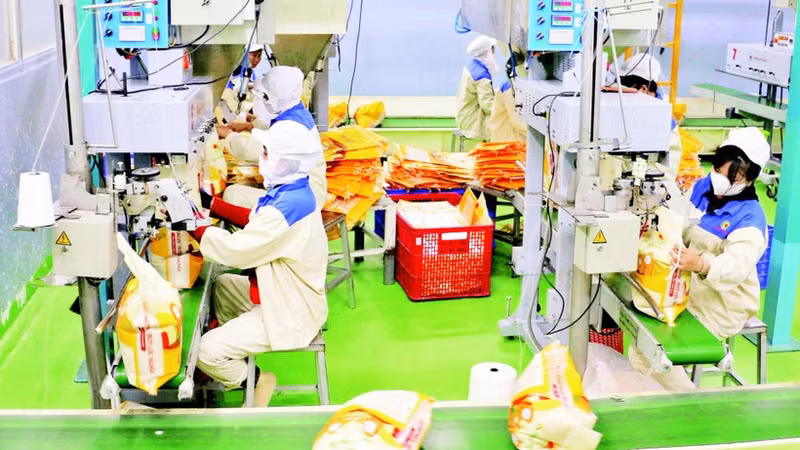 안장성성에 위치한 타오선 1인 유한책임식품회사 공장에서 수출용 쌀을 포장하고 있다. (사진: VNA)