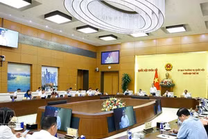 1일 열린 제56차 국회 상임위원회 회의에 참석한 위원들 (사진: VNA)