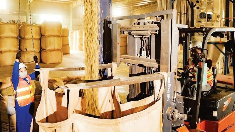 Simexco DakLak사의 커피 생산 현장. (사진: 민 안)