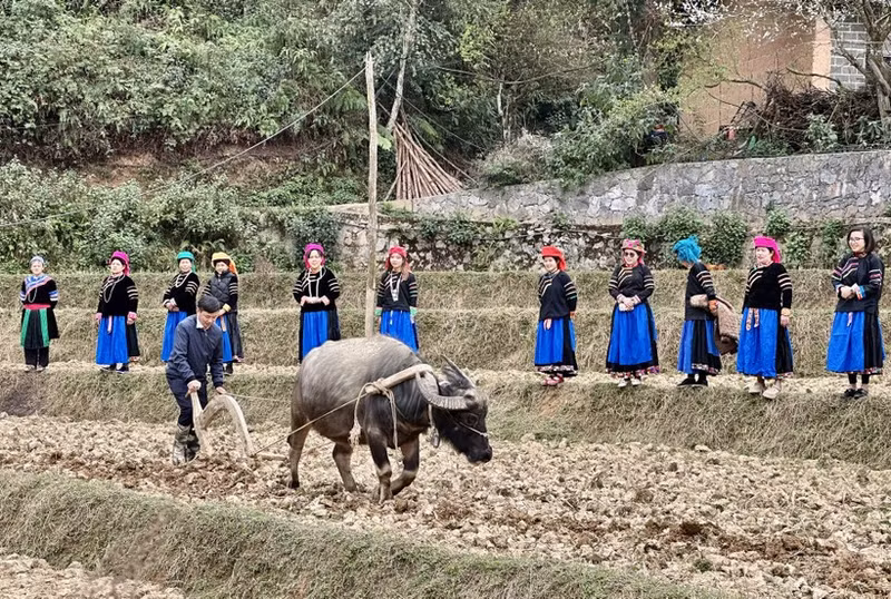 팟웅(Pat Oong) 의식은 조상들에게 새로운 농사철에 들어갈 수 있도록 허락을 구하고, 좋은 날씨와 풍성한 수확을 기원하는 데 목적이 있다.