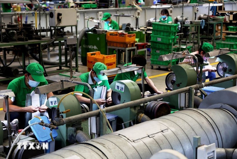 내무부 통계에 따르면, 2025년 노동력은 약 5천320만 명에 이르는 것으로 나타났다. (사진: VNA)