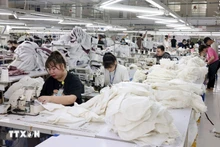 수출용 의류를 재봉하는 모습. (사진: Tran Viet/VNA)