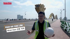 다낭시에서 용을 돌보는 사람들을 따라간다