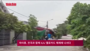 하이퐁도 불법조업 옐로카드 해제에 동참