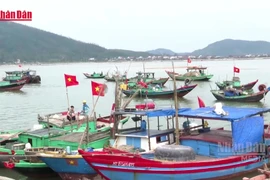 [영상] 바쁜 조업에도 선거일 잊지 않는 어민들