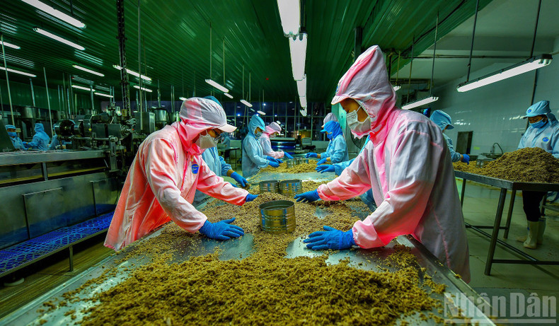 작품: 제품 분류 작업. 촬영: 응우옌 다오 득