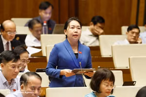 지라이성 출신의 리 티엣 한 국회 의원이 21일 국회 회의에서 발언하고 있다. (사진: VNA)