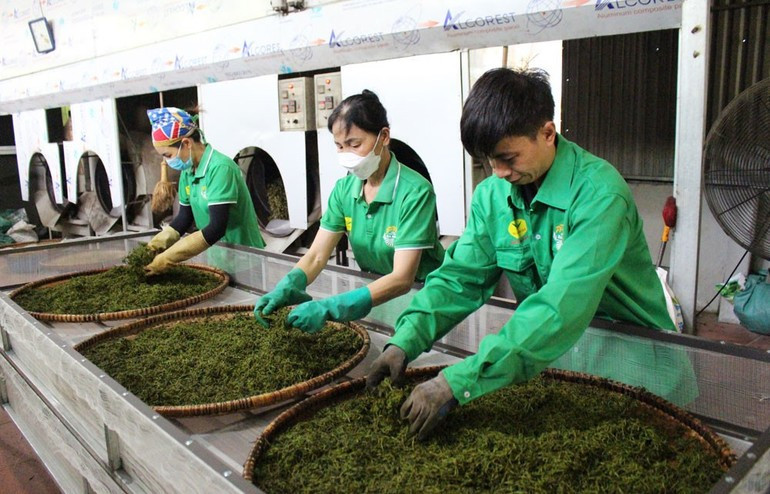 국내 시장, 베트남 상품의 도약을 위한 '발판' 역할