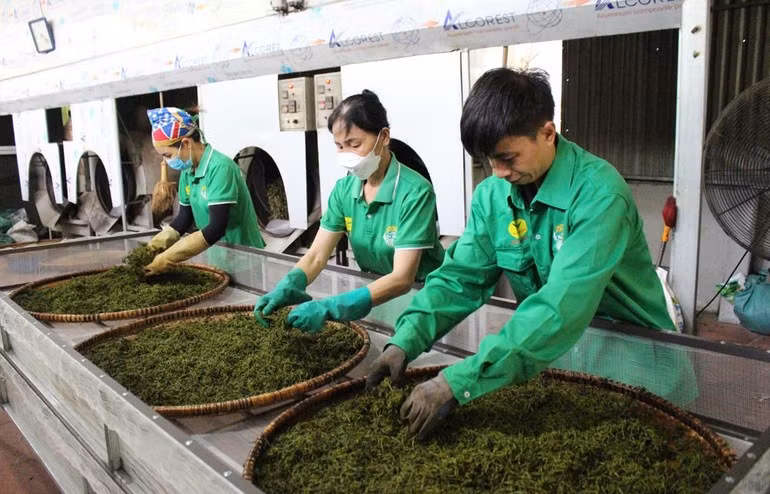 국내 시장, 베트남 상품의 도약을 위한 '발판' 역할