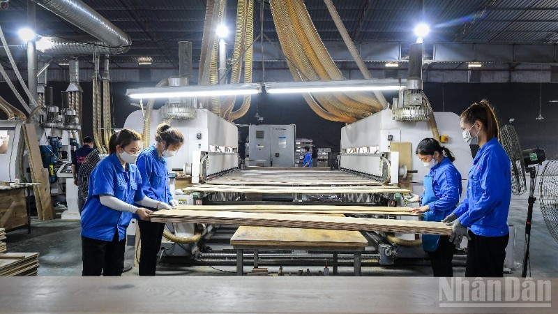 베트남 기업들이 글로벌 시장에 진출하기 위해서는 종합적인 생태계의 지원이 시급히 필요하다. (사진: THANH DAT)