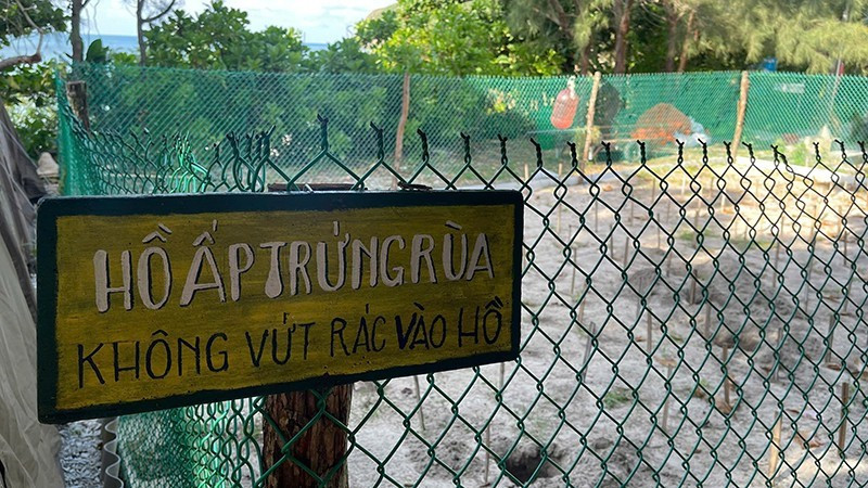 베트남에서 바다거북 보전 프로그램이 가장 활발하게 이루어지는 주요 지역 중 하나인 꼰다오. (사진: DINH NAM)