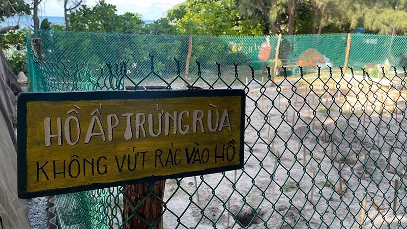 베트남에서 바다거북 보전 프로그램이 가장 활발하게 이루어지는 주요 지역 중 하나인 꼰다오. (사진: DINH NAM)