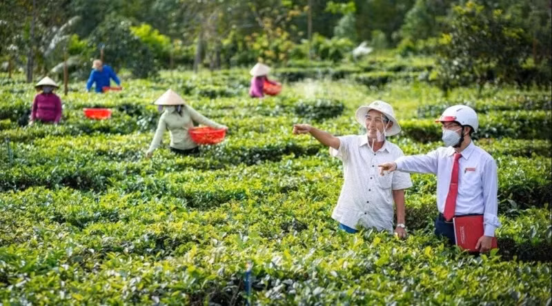 농업 분야에서 날로 강화되는 녹색 금융의 역할.