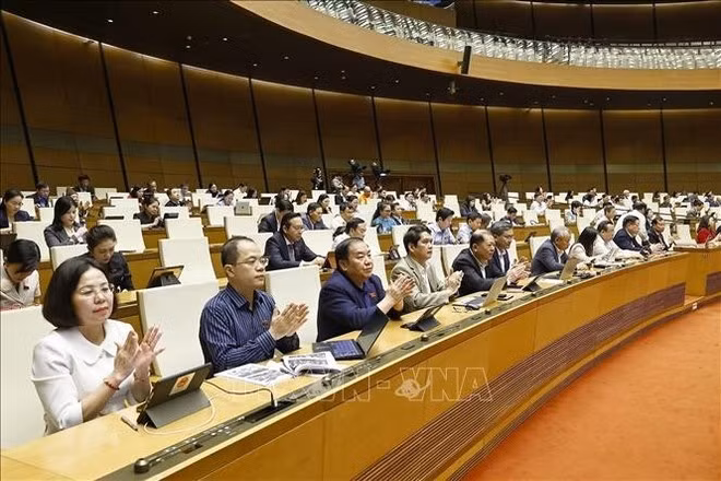 회의에 참석한 국회의원들 (사진: VNA)