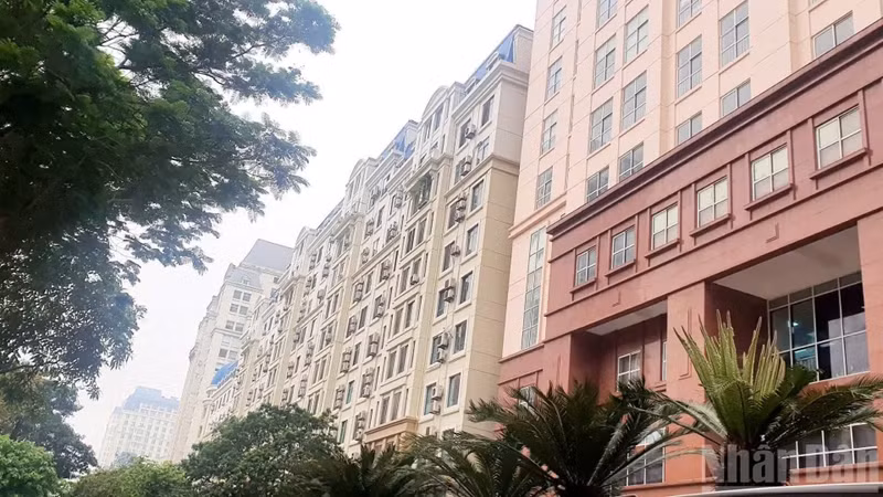 시장은 점점 더 투명성, 전문성, 지속가능성을 지향하고 있다. (사진: NDO)